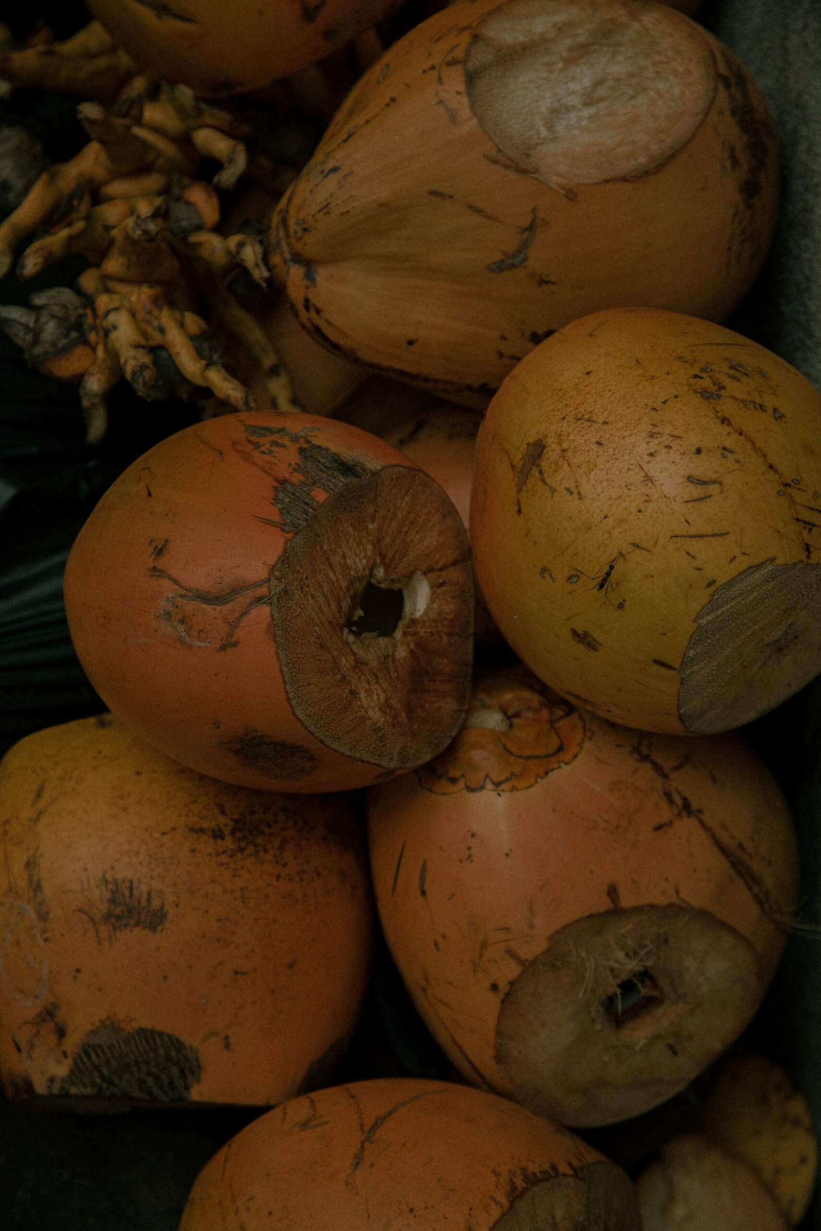 Dimitrios Paraschos DSC_4042-2