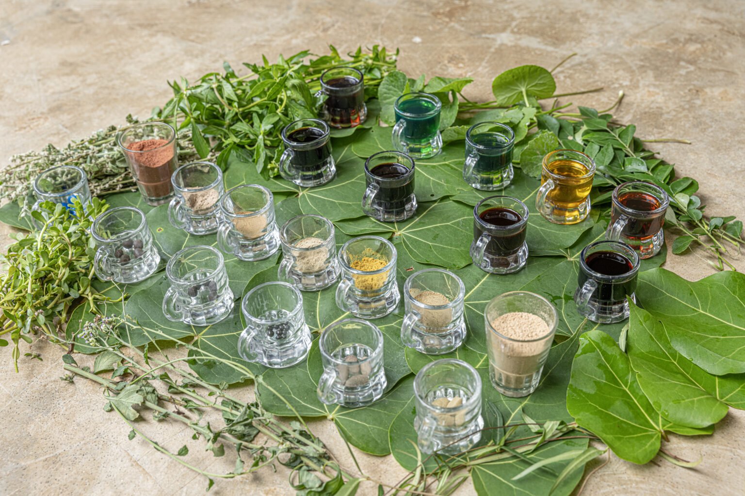 Ayurvedic herbs, oils and powders arranged on leaves at Rekawa