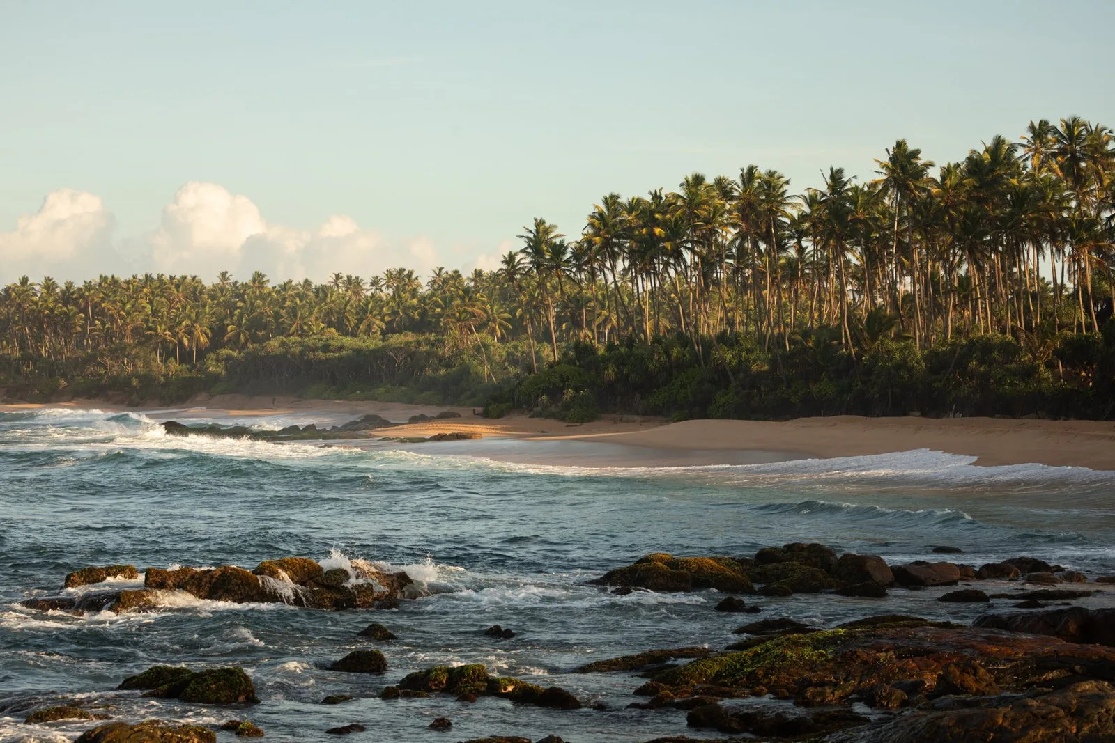 Solo Travel in Sri Lanka: A First-Timer’s Guide