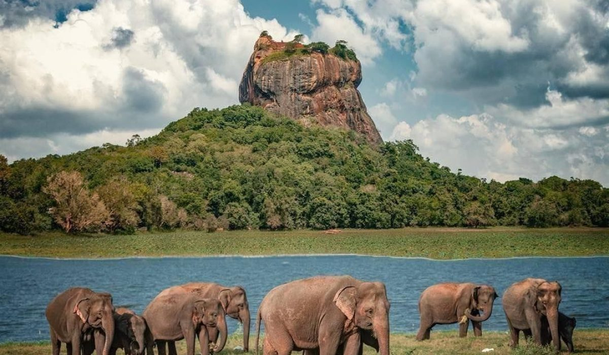 Solo Travel in Sri Lanka