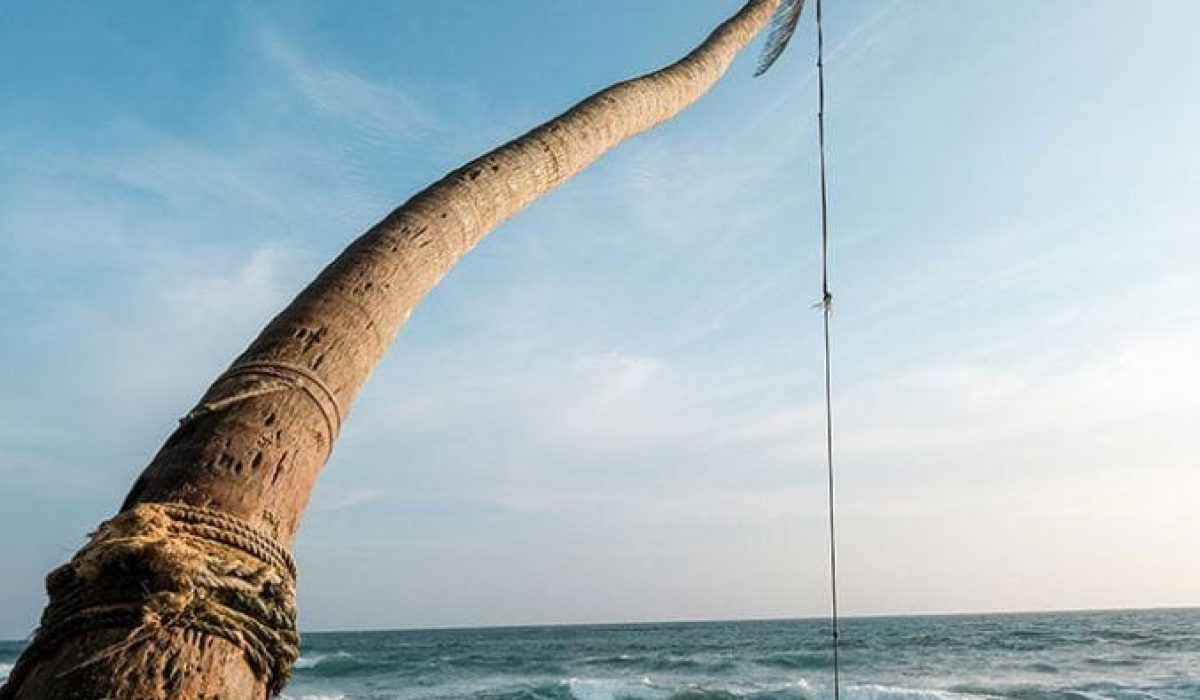 Sri Lanka in August: Is It the Best Time to Visit?